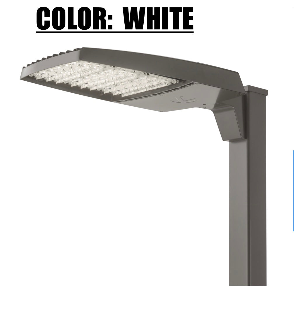 Outdoor LED area light wall mounted